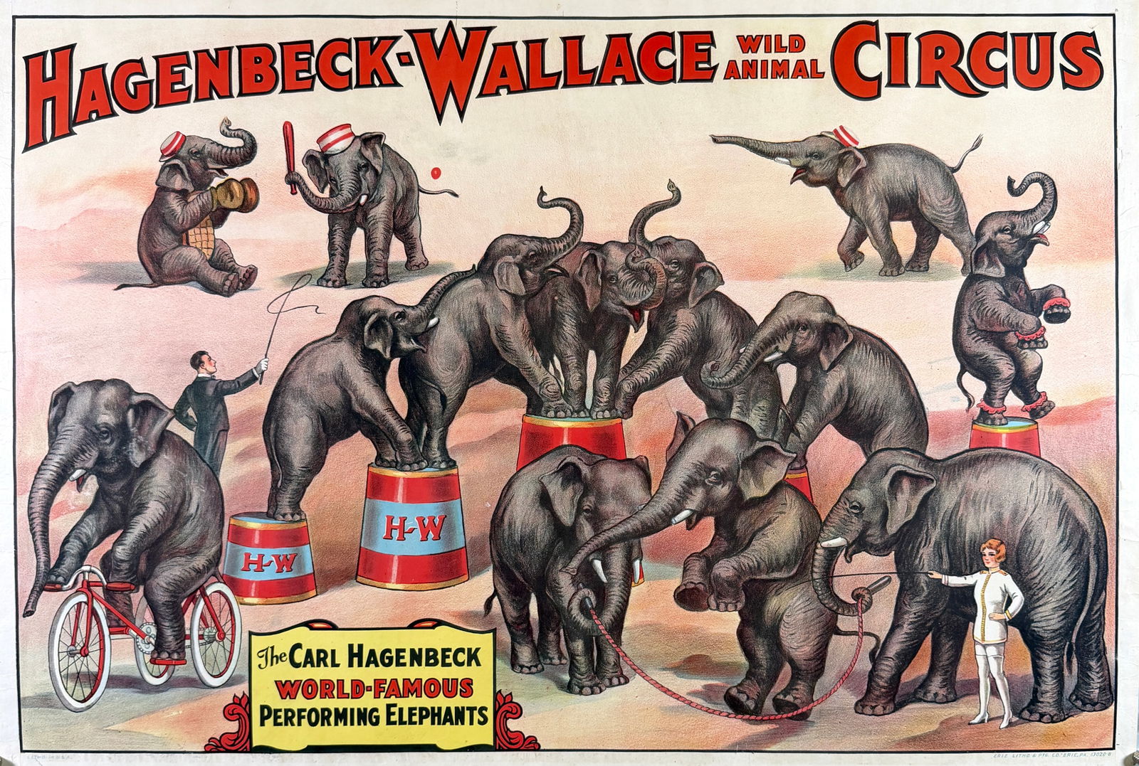 HAGENBECK-WALLACE WILD ANIMAL CIRCUS POSTER: ORIGINAL, AUTHENTIC HAGENBECK-WALLACE WILD ANIMAL CIRCUS POSTER FEATURING THE CARL HAGENBECK WORLD FAMOUS PERFORMING ELEPHANTS. ELEPHANT BASEBALL - BICYCLE - JUMPING ROPE - MOUNT. ONE SHEET, ERIE