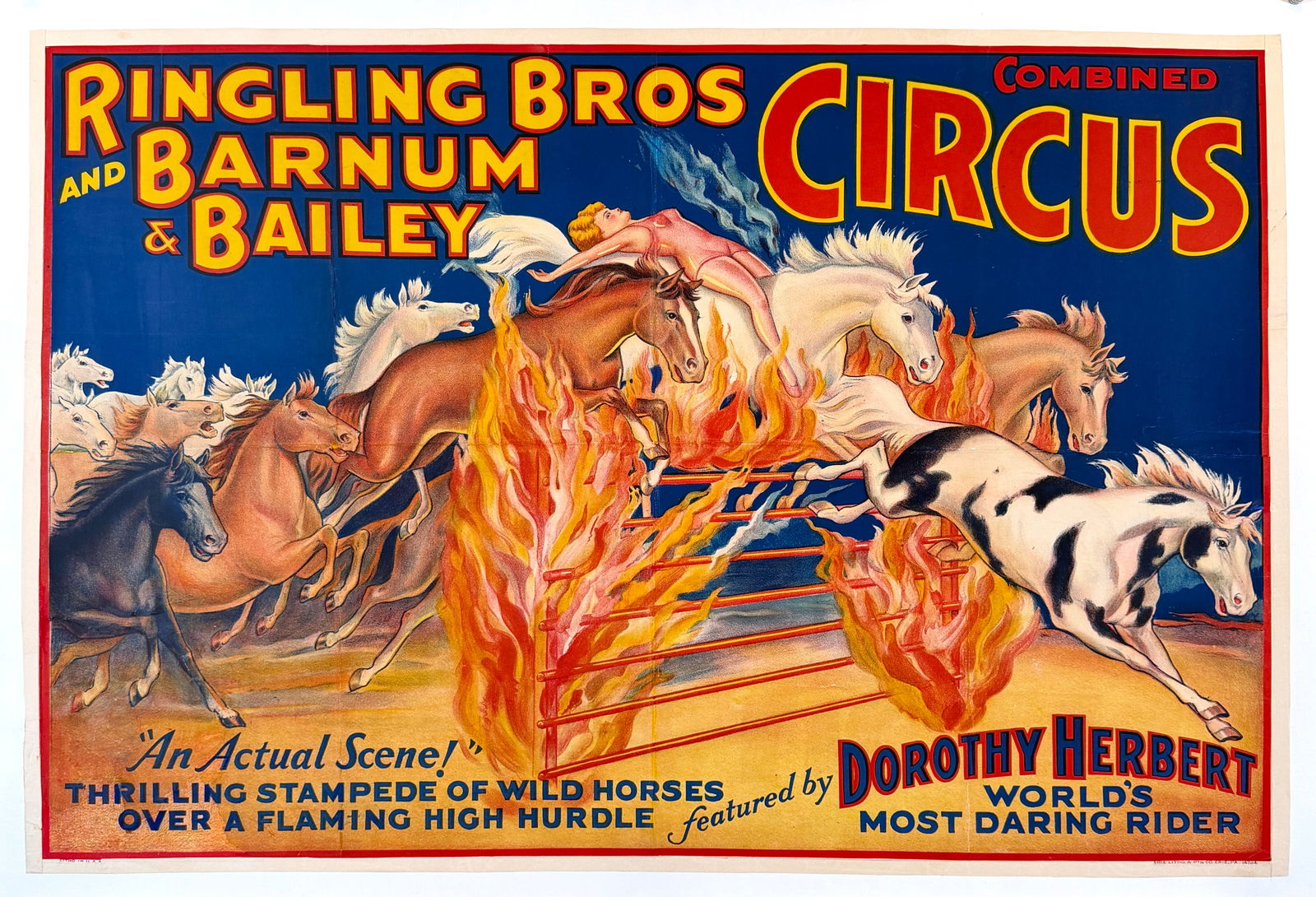 RINGLING BROS. BARNUM BAILEY CIRCUS POSTER: ORIGINAL, AUTHENTIC POSTER - RINGLING BROS. AND BARNUM & BAILEY CIRCUS - AN ACTUAL SCENE FEATURING DOROTHY HERBERT - WORLD'S MOST DARING RIDER. ONE SHEET, ERIE LITHO, 1937. PROFESSIONALLY CONSEVED