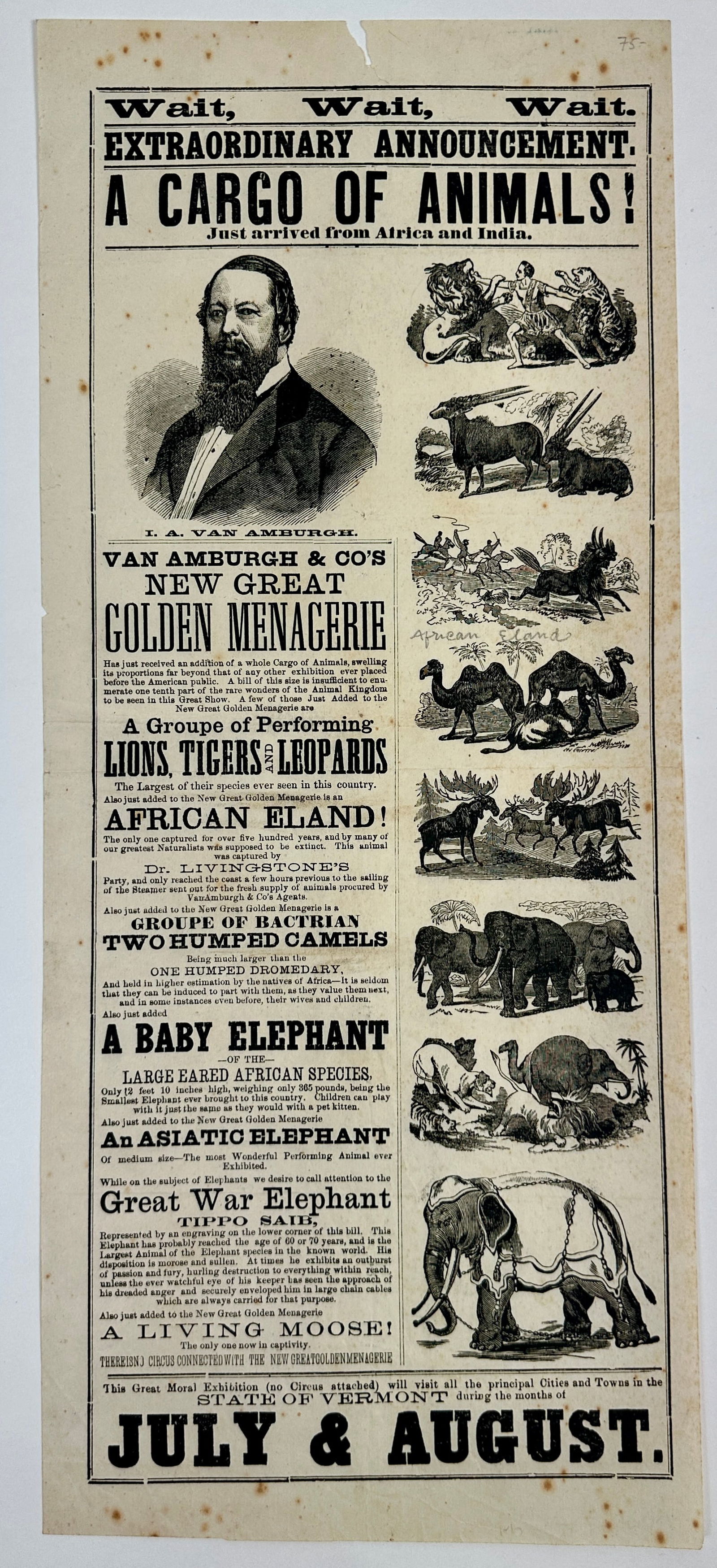 VAN AMBURGH & CO. GREAT GOLDEN MENAGERIE BROADSIDE: VAN AMBURGH & CO. GREAT GOLDEN MENAGERIE. SINGLE-SIDED BROADSIDE HERALD, C.1868. FANTASTIC BILLING - A CARGO OF ANIMALS JUST ARRIVED FROM AFRICA AND INDIA. LIONS, TIGERS, LEOPARDS, ELAND, CAMELS,