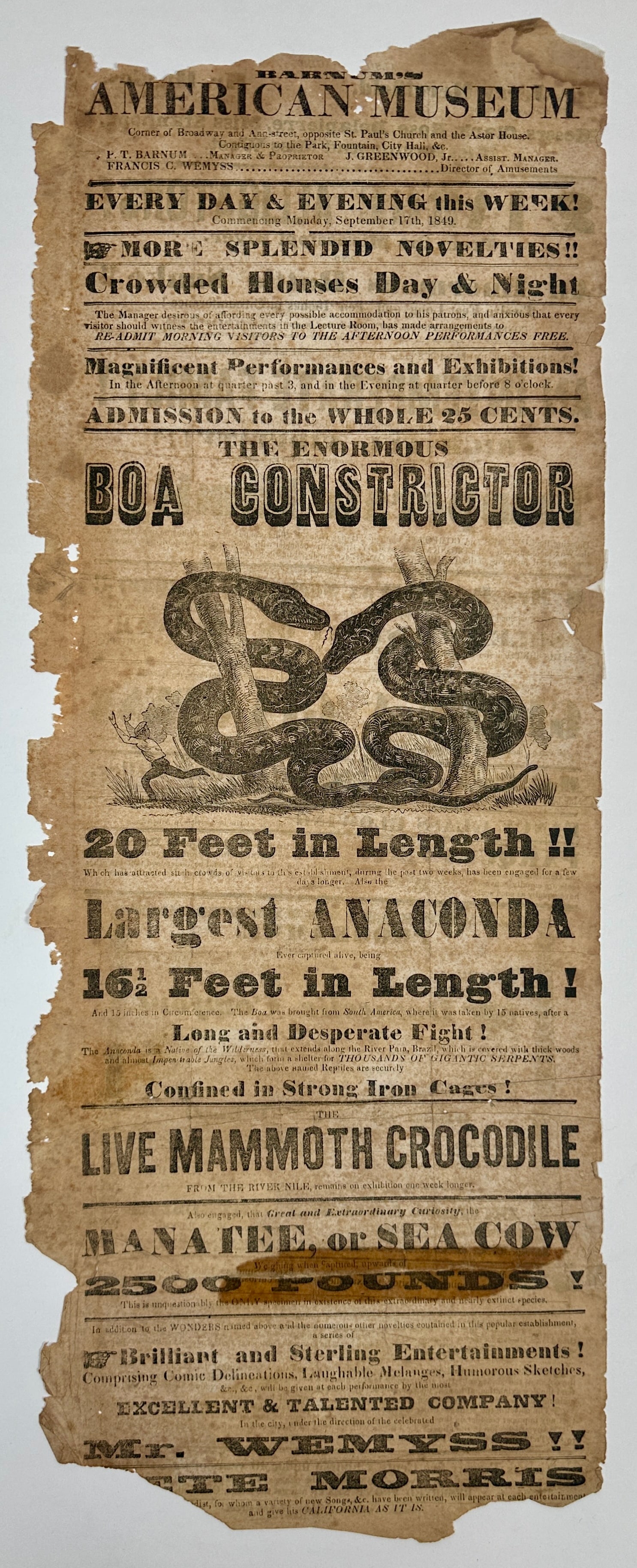 1849 P.T. BARNUM'S AMERICAN MUSEUM BROADSIDE (1 of 2)