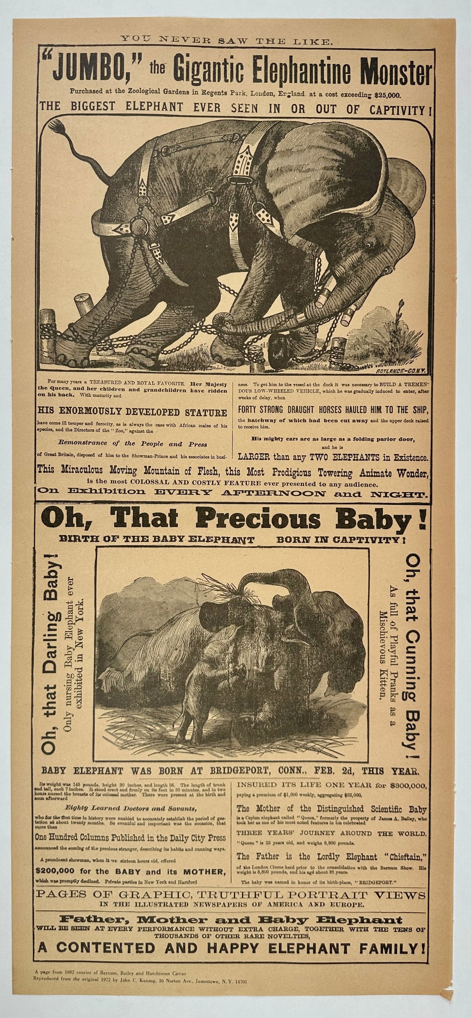 JUMBO - THE GIGANTIC ELEPHANTINE MONSTER (1 of 1)