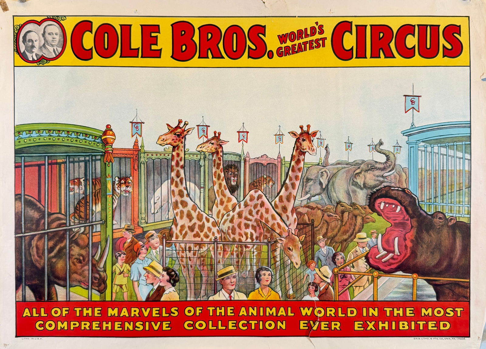 COLE BROS. CIRCUS POSTER: AUTHENTIC, ORIGINAL POSTER - MENAGERIE SCENE. HALF SHEET, ERIE LITHO, C.1935. UNMOUNTED, TEARS AT MARGINS. 21"X28"