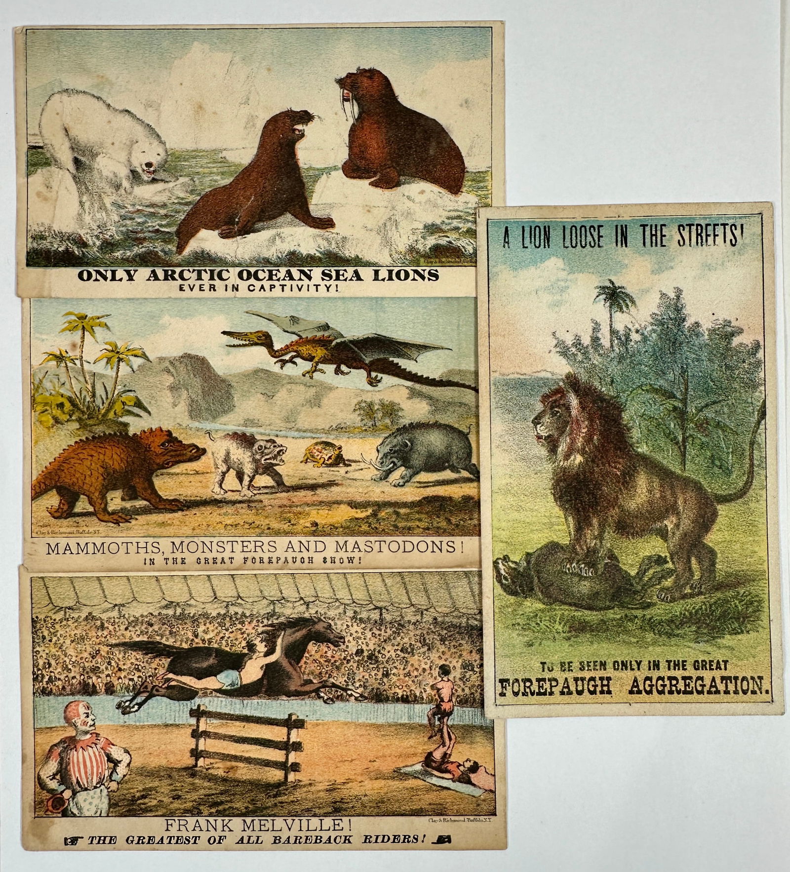 ADAM FOREPAUGH CIRCUS HAND BILLS (1 of 2)