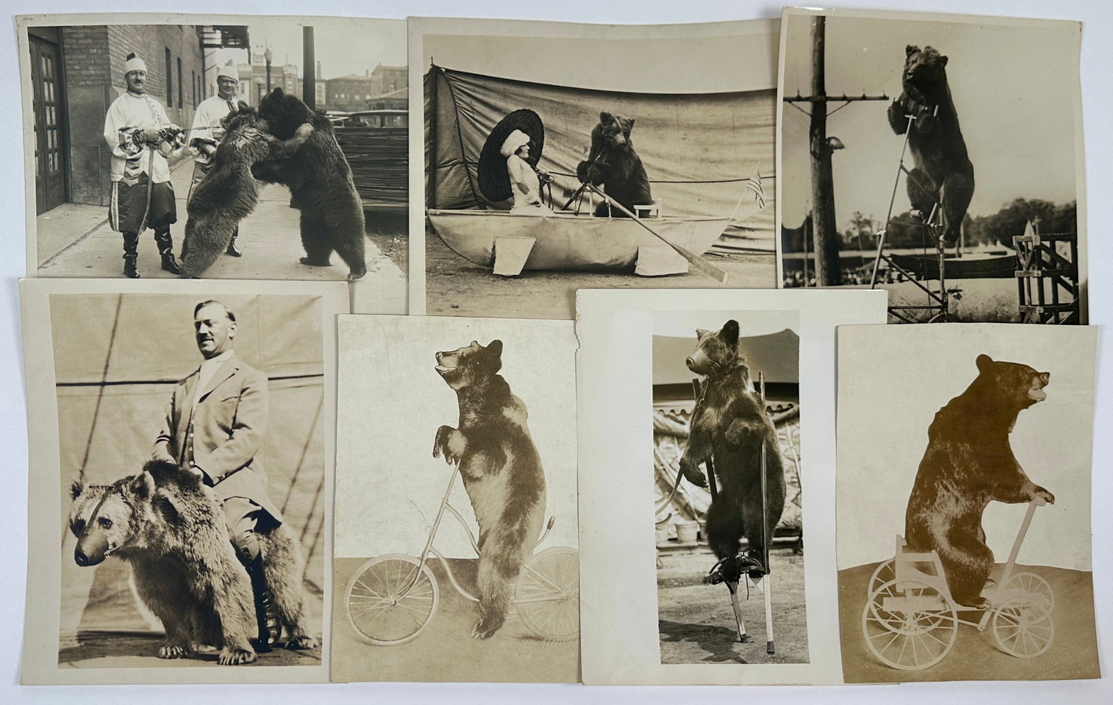 PALLENBERG'S BEARS PHOTO COLLECTION: SERIES OF 8"X10" PHOTOGRAPHS OF EMIL PALLENBERG'S PERFORMING BEARS.