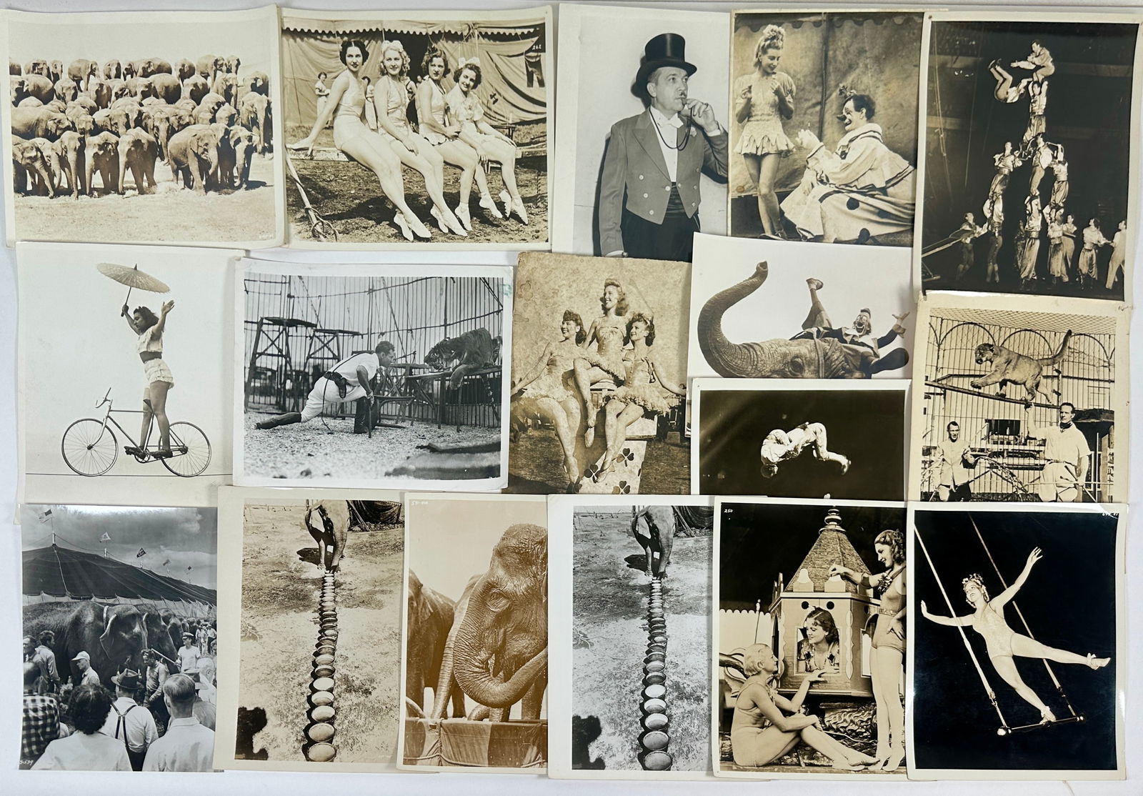 CIRCUS PHOTOGRAPH COLLECTION (1 of 5)