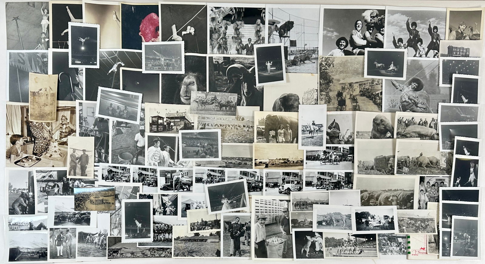 CIRCUS PHOTOGRAPH COLLECTION (1 of 5)