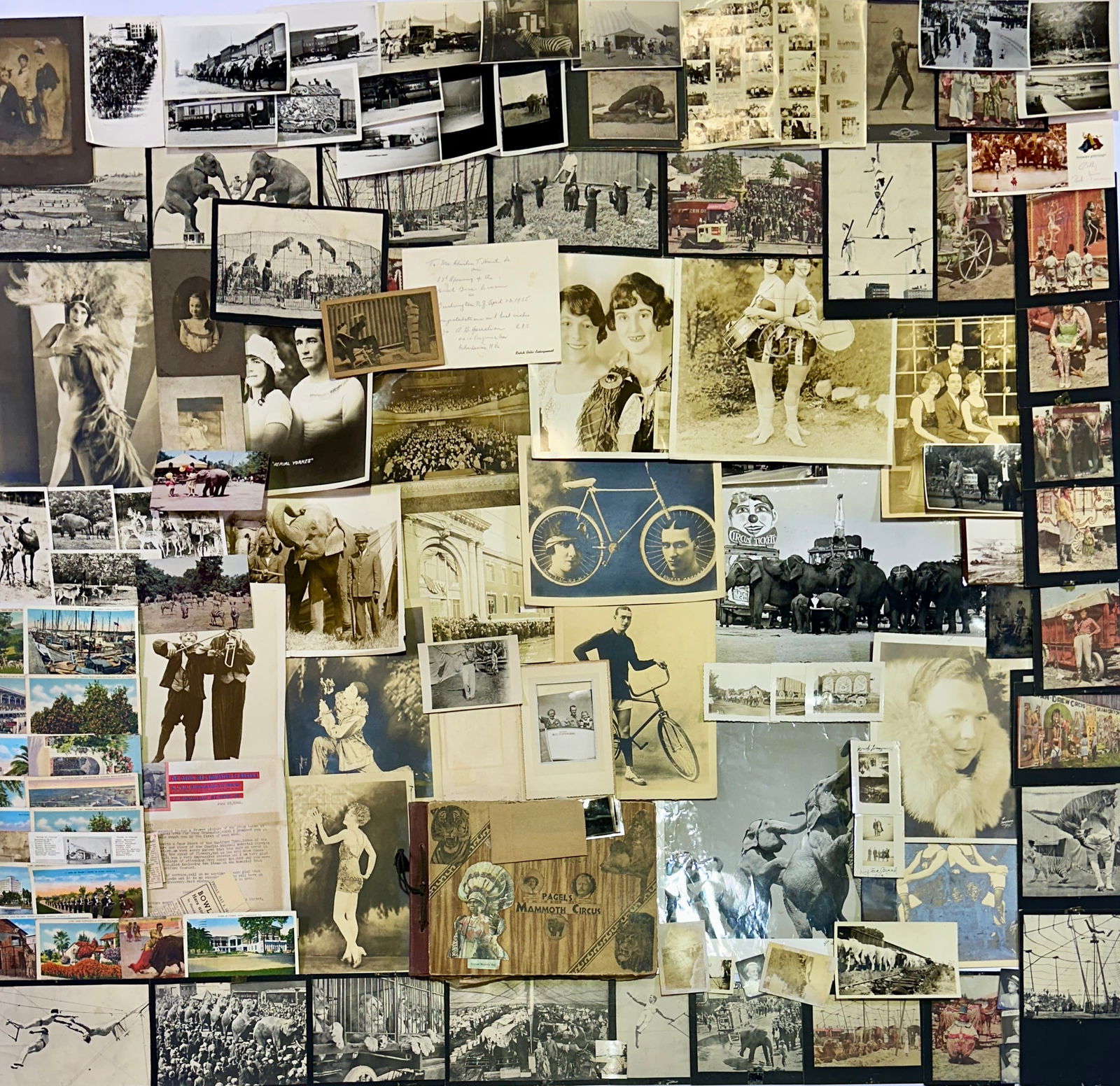 HUNT BROS. CIRCUS PHOTOGRAPH COLLECTION (1 of 8)