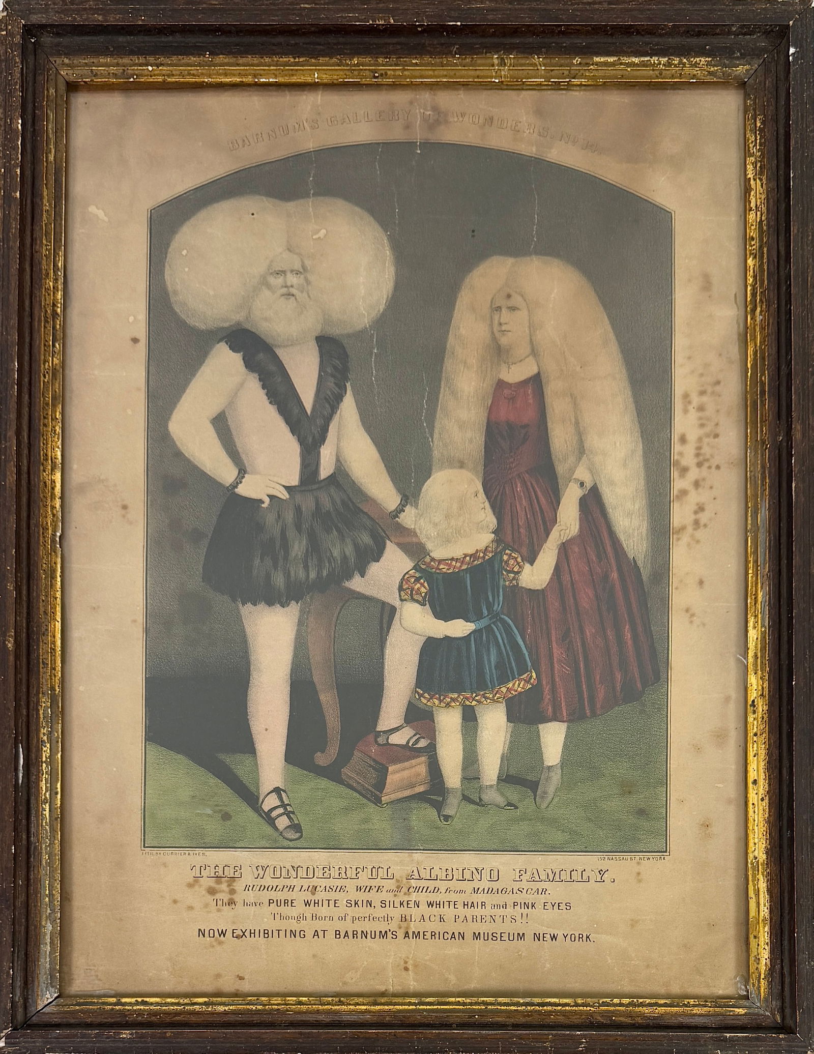 CURRIER & IVES - THE ALBINO FAMILY: THE ALBINO FAMILY, LITHOGRAPH BY CURRIER & IVES, C.1870. FROM BARNUM'S GALLERY OF WONDERS NO.14. THE WONDERFUL ALBINO FAMILY, RUDOLPH LUCASIE, WIFE AND CHILD FROM MADAGASCAR. NO EXHIBITING AT