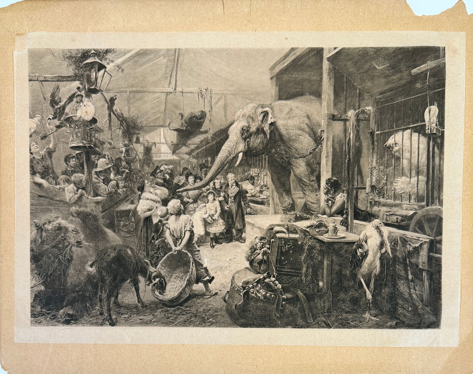TIERBUDE CIRCUS ZOO - PHOTOGRAVURE - PAUL MEYERHEIM: FROM THE ORIGINAL PAINTING BY PAUL MEYERHEIM, CORNER MOUNTED ON STOCK PAPER, VERY GOOD. 9"X13"