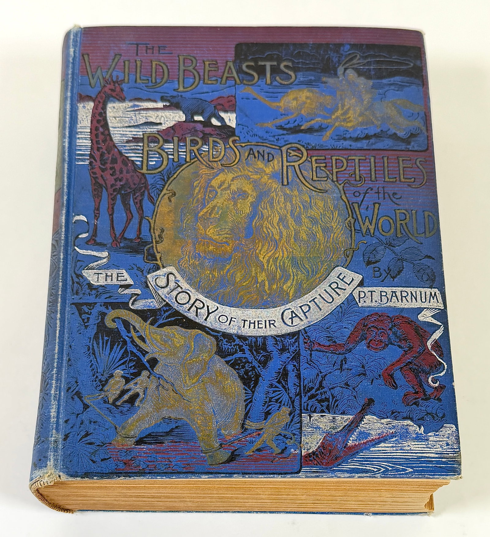 WILD BEASTS - BIRDS - REPTILES - P.T. BARNUM: THE WILD BEASTS, BIRDS AND REPTILES OF THE WORLD AND THE STORY OF THEIR CAPTURE BY P.T. BARNUM, 1892. R.S. PEALE CO., CHICAGO, 1892. 514 PAGES WITH ILLUSTRATIONS. LOOSE AT BINDING, SCATTERED COVER WEA