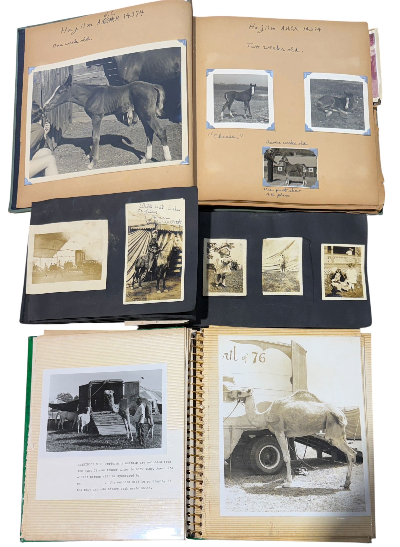 HUNT BROS. CIRCUS PHOTOGRAPH SCRAPBOOKS: HUNT BROS. CIRCUS WAS ONE OF AMERICA'S OLDEST RUNNING CIRCUSES BEGINNING IN 1892. INCLUDED ARE THREE PHOTOGRAPH SCRAPBOOKS PREPARED BY HARRY T. HUNT/MARSHA HUNT-JONES COVERING THE SHOW FROM THE 1930'S