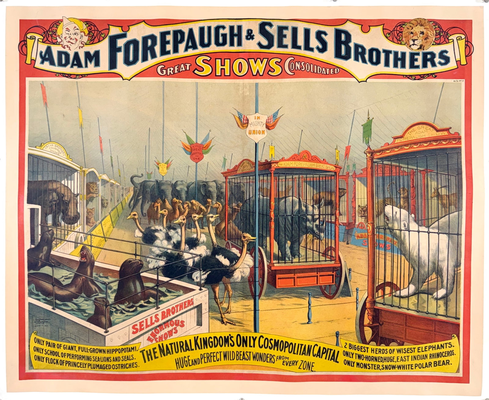 Adam Forepaugh & Sells Brothers Great Shows Consolidated Poster: Original, authentic circus poster - Adam Forepaugh & Sells Brothers Great Shows Consolidated. Menagerie tent scene. Only pair of giant, full-grown hippopotami - performing sea-lions and seals -