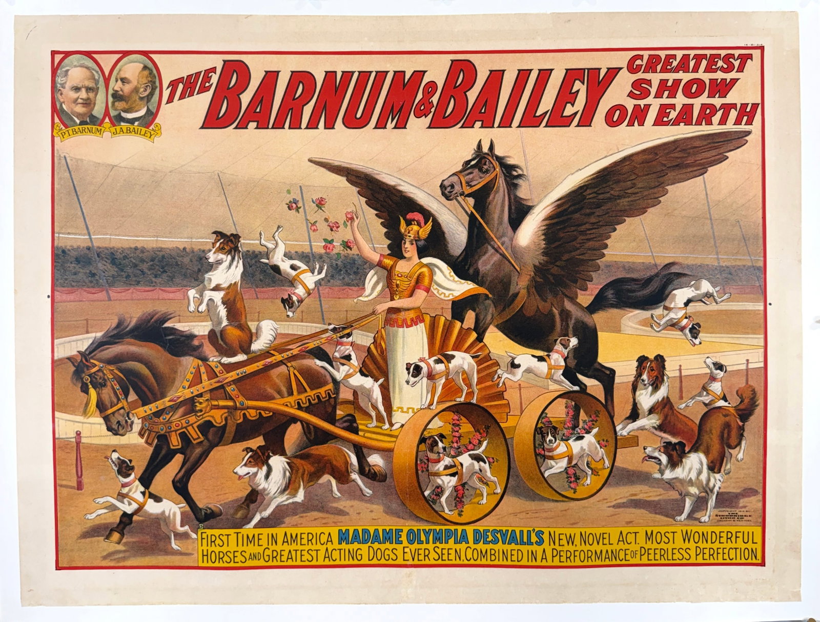 Barnum & Bailey Greatest Show on Earth Poster - Olympia: Original, authentic circus poster - Barnum & Bailey - Greatest Show on Earth - First time in America, Madame Olympia Desvall, new, novel act. Most wonderful horses and greatest acting dogs ever seen.