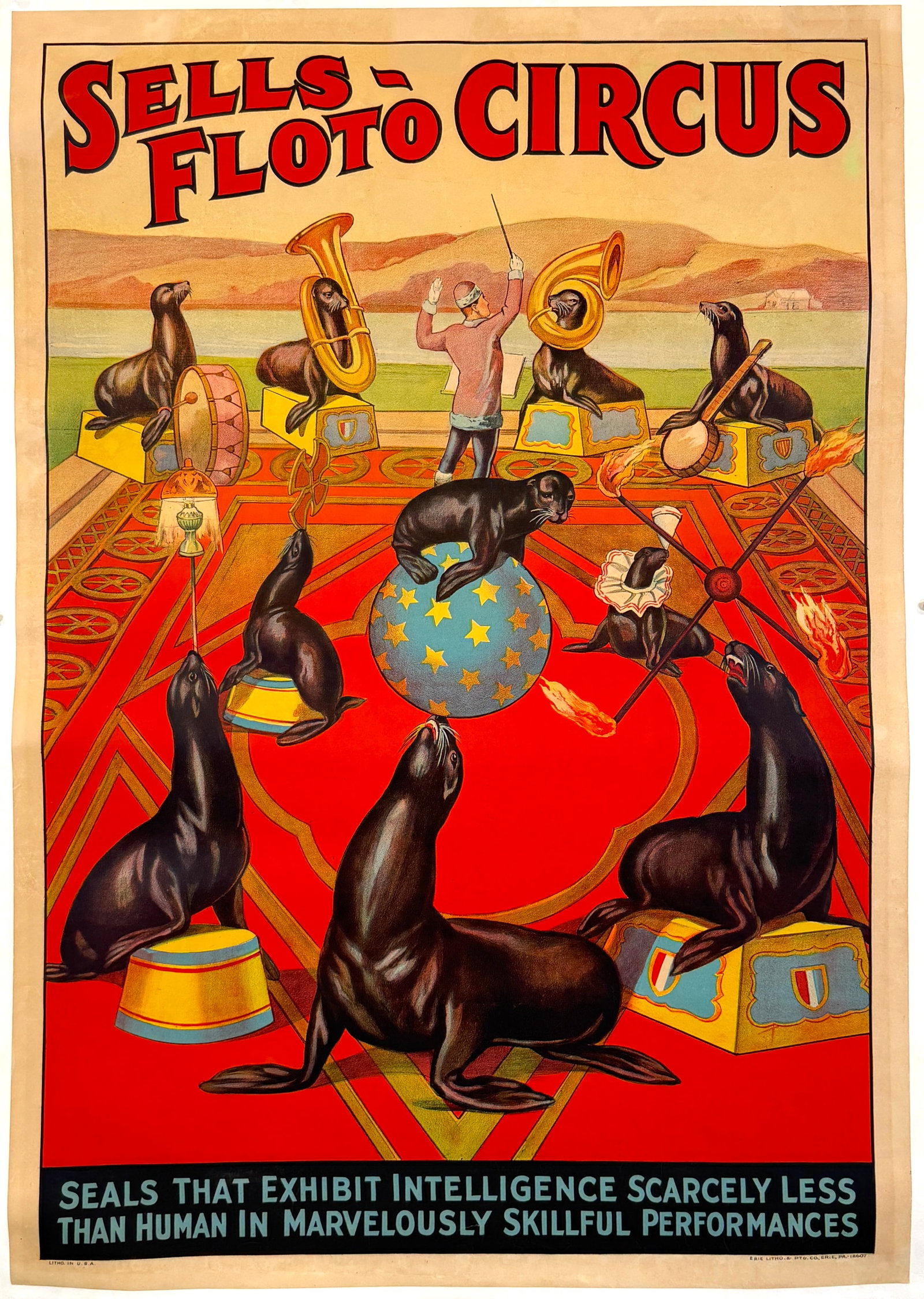 Sells-Floto Circus Poster (1 of 1)