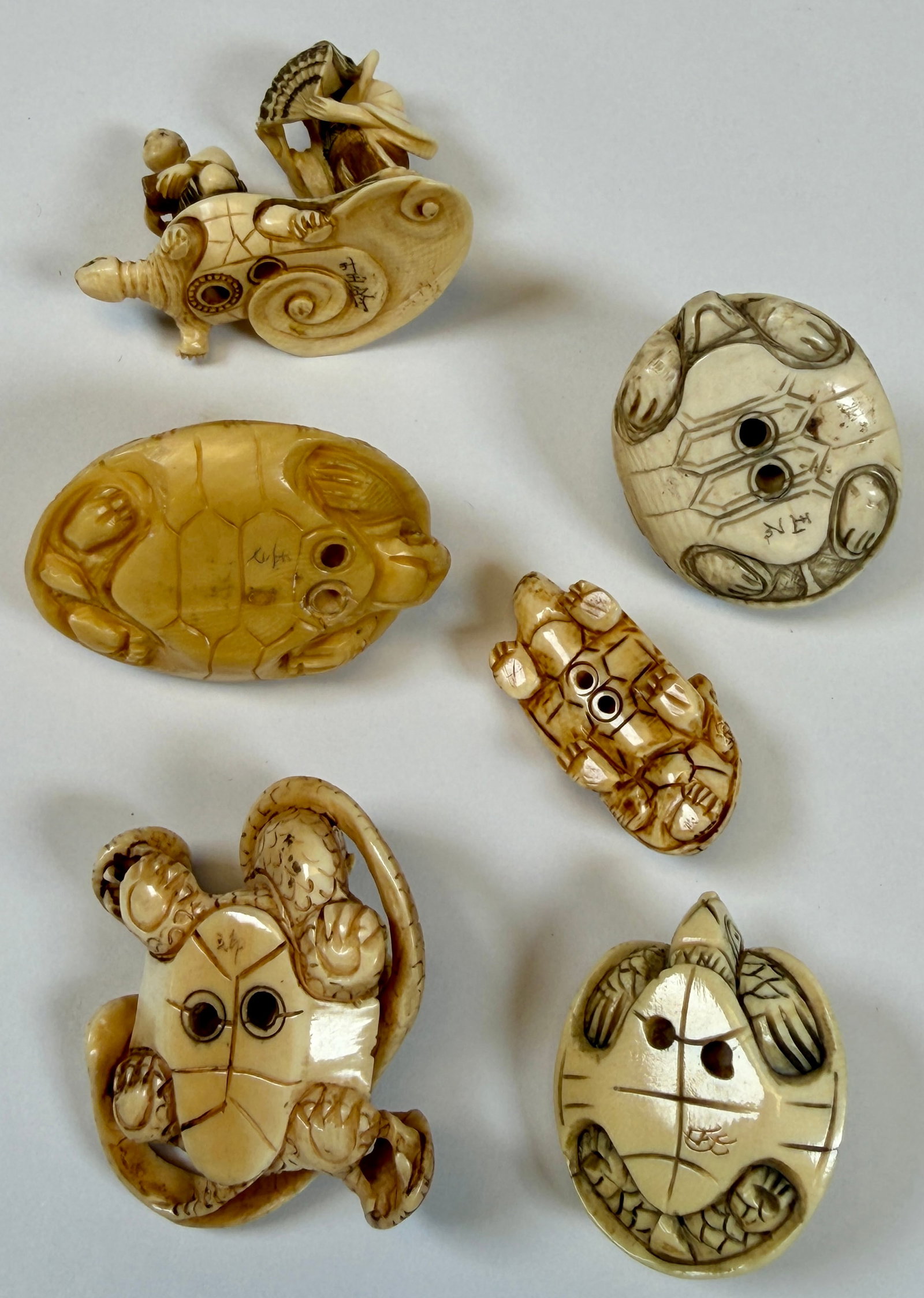 ORGANIC JAPANESE TURTLE NETSUKE COLLECTION - 10