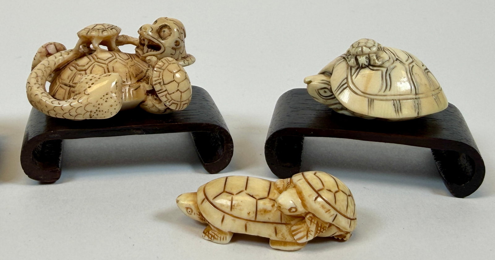 ORGANIC JAPANESE TURTLE NETSUKE COLLECTION - 2