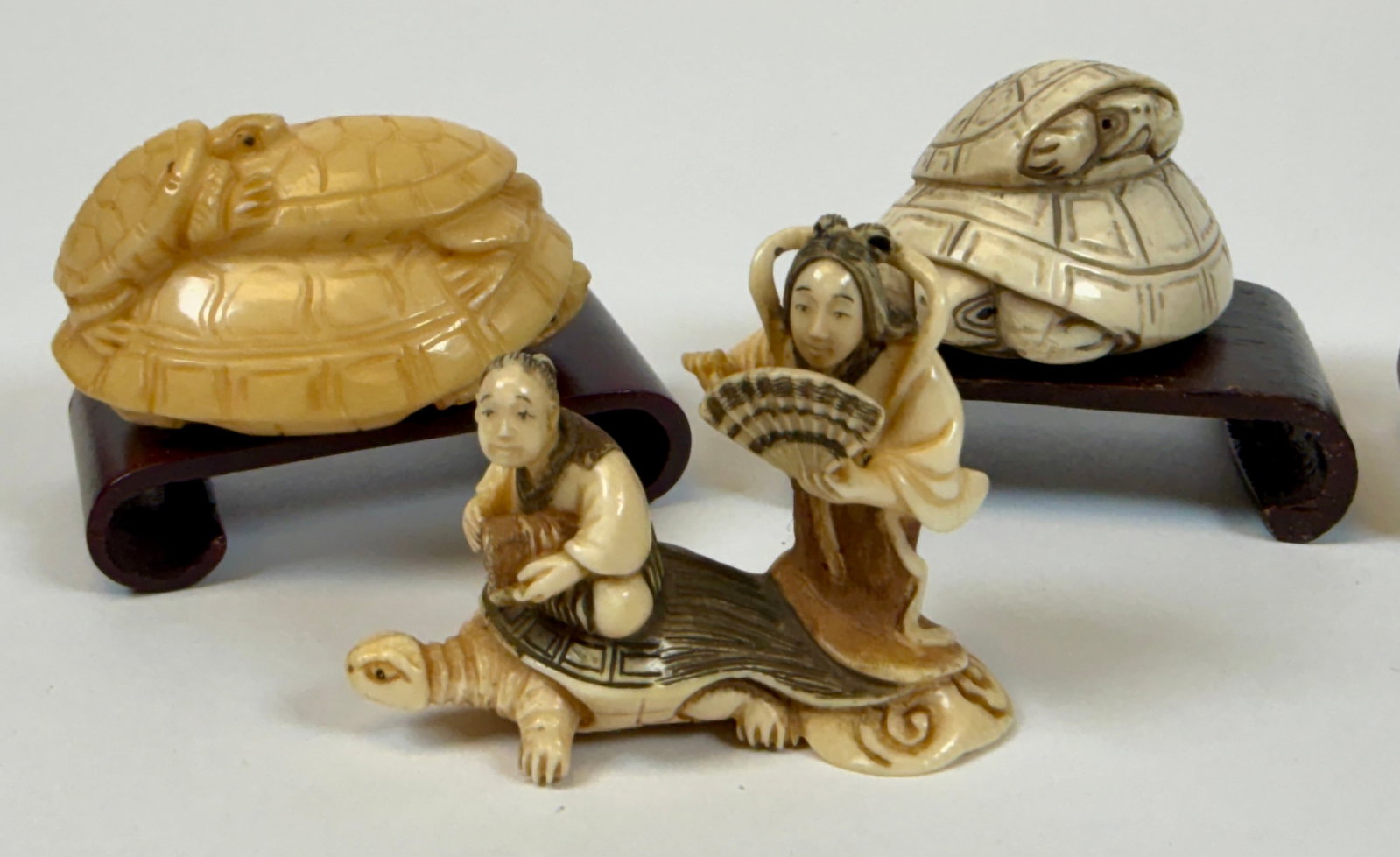 ORGANIC JAPANESE TURTLE NETSUKE COLLECTION - 3