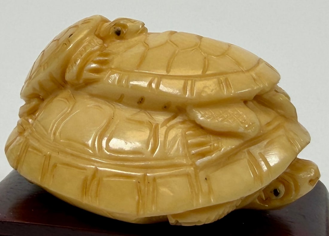 ORGANIC JAPANESE TURTLE NETSUKE COLLECTION - 4