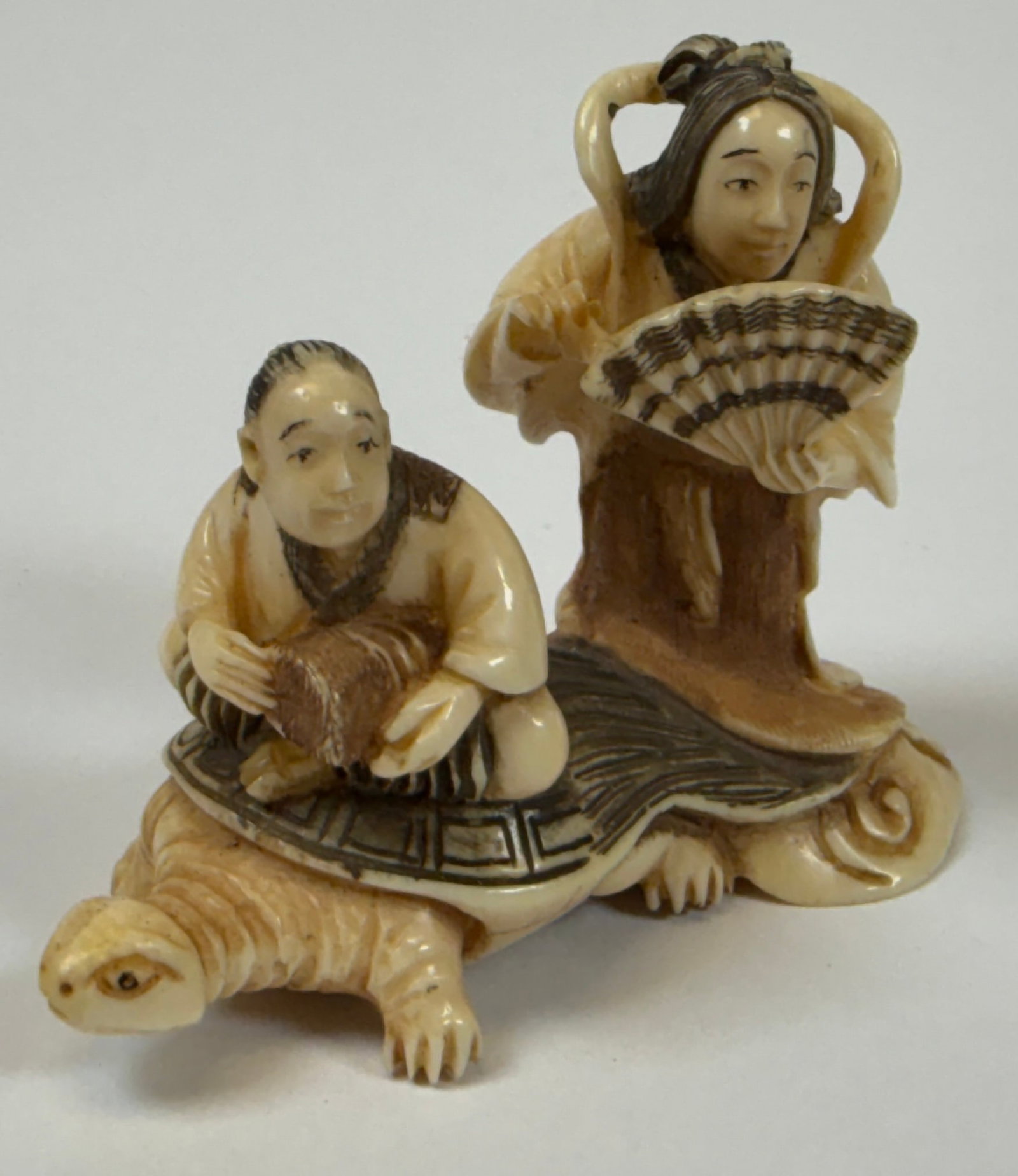 ORGANIC JAPANESE TURTLE NETSUKE COLLECTION - 5