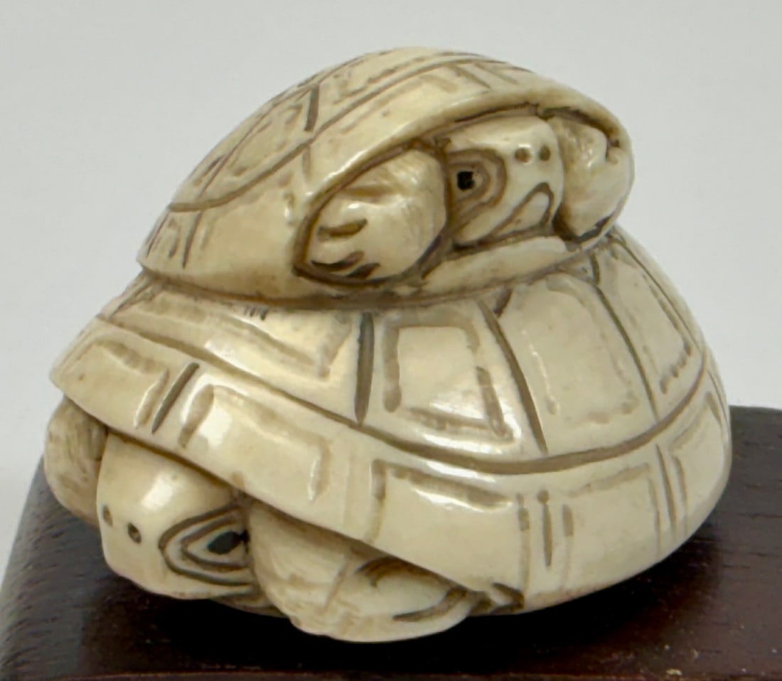 ORGANIC JAPANESE TURTLE NETSUKE COLLECTION - 6