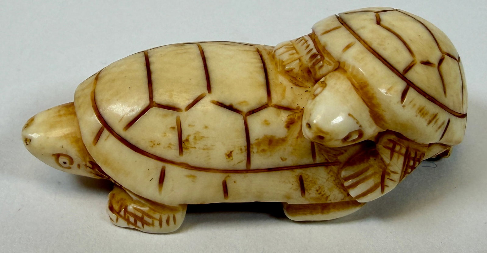 ORGANIC JAPANESE TURTLE NETSUKE COLLECTION - 8