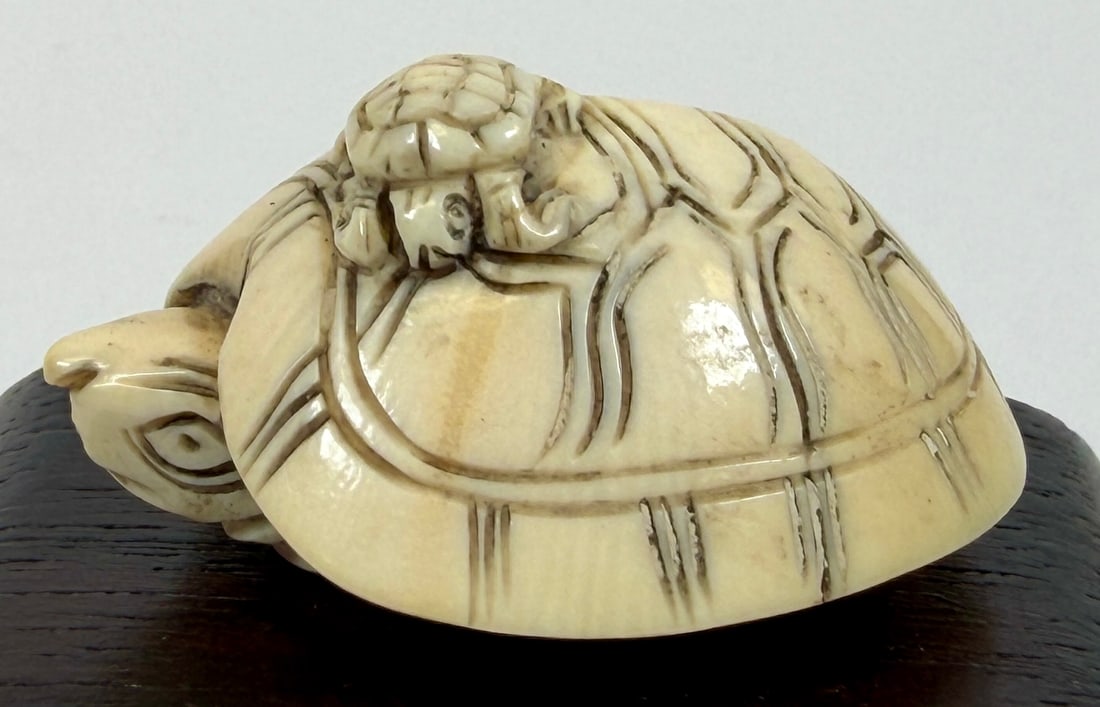 ORGANIC JAPANESE TURTLE NETSUKE COLLECTION - 9