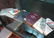 STAMP ALBUMS
