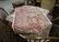 GROUPING OF ARTS, TEXTILES