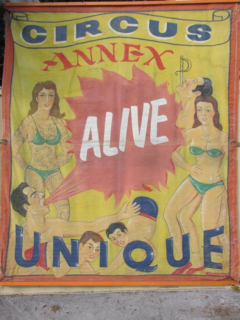 "CIRCUS ANNEX" SIDE SHOW BANNER - WANDERLIN (1 of 7)