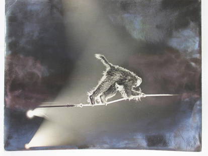 GORILLA TRAPEZE PARODY PHOTORAPH BY LOOMIS DEAN: CIRCUS, MADISON SQUARE GARDEN. LIFE PHOTO BY LOOMIS DEAN, LIFE PRINT BY AL ASNIS.10.75"X13.25"