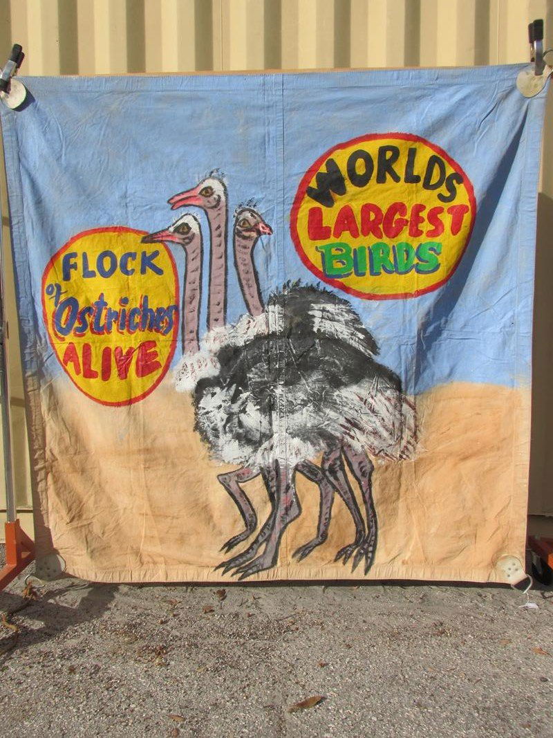 "WORLD'S LARGEST BIRDS" SIDE SHOW BANNER (1 of 2)