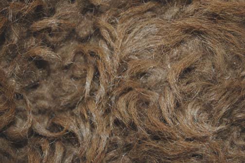 PLAINS BUFFALO ROBE - 4