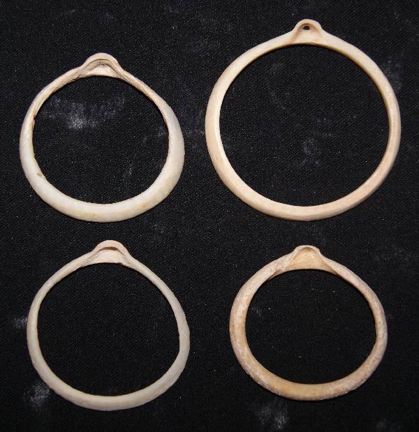 Four Hohokam Shell Bracelets: prehistoric three are child size 2 and 2.5 inches diameter Shipping charge on this item is $10.00. Unless noted all items have some amount of acceptable wear, scratches, nicks, missing stitches, ect. 