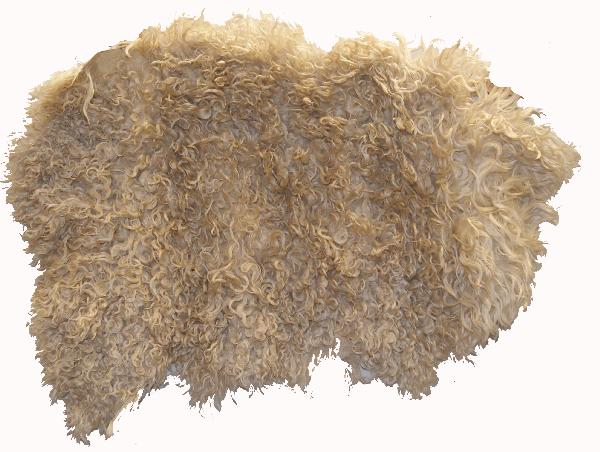 1970'S NAVAJO WEAVER'S MAT: sheep hide, used by weaver to sit at the loom, 40" x 28" Shipping charge on this item is $10.00. Unless noted all items have some amount of acceptable wear, scratches, nicks, missing stitches, ect. fo