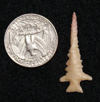 PREHISTORIC ARROW HEADS: prehistoric collected in Texas 1.5" .5 Shipping charge on this item is $10.00. Unless noted all items have some amount of acceptable wear, scratches, nicks, missing stitches, ect. for their age. Measu