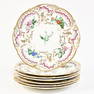 Set of 7 French Porcelain Cabinet Plates