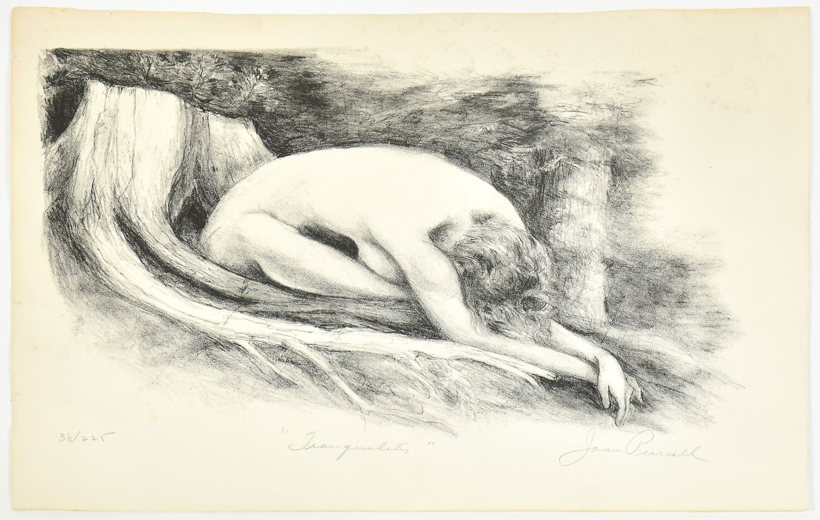 Joan Purcell (1 of 6)