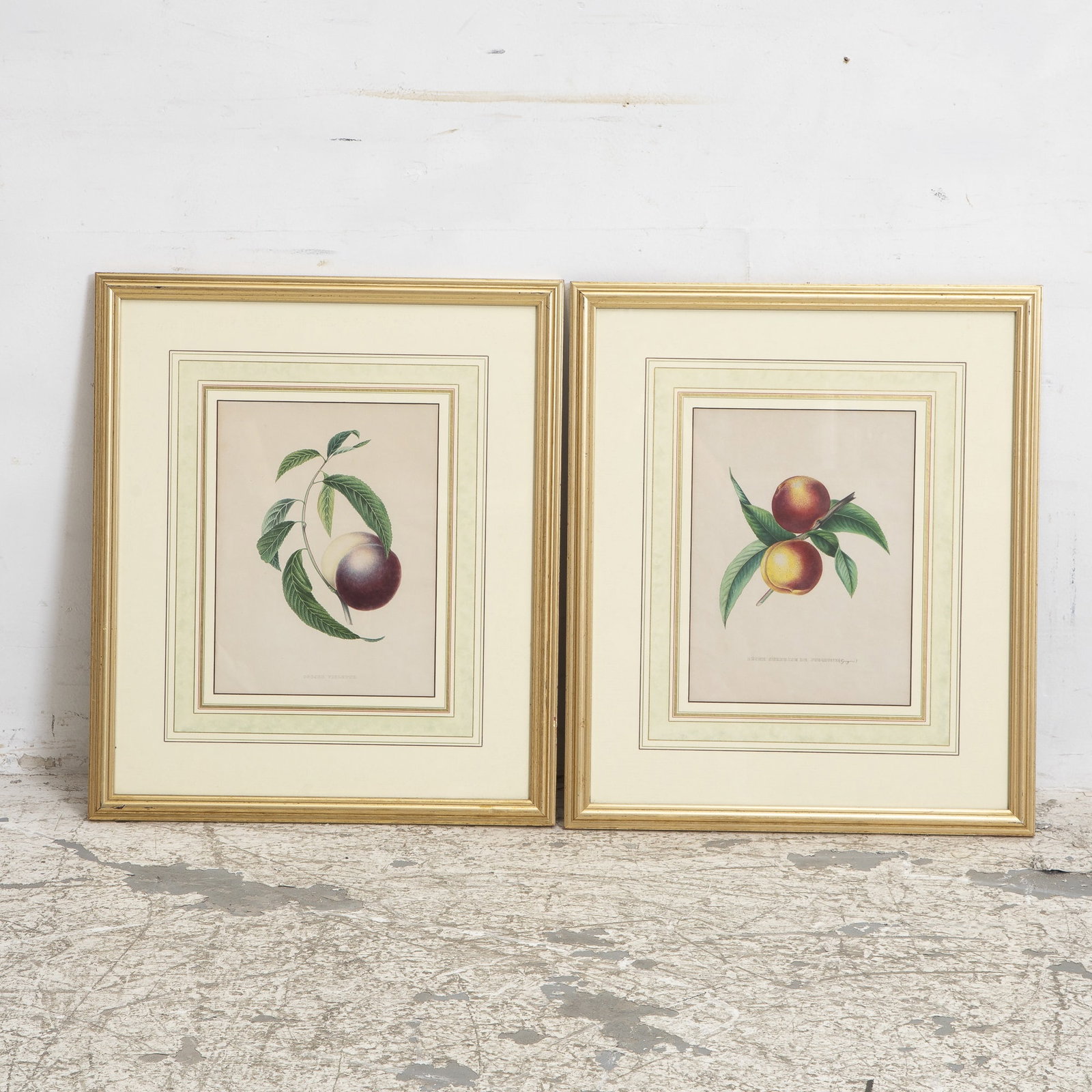 After Alexandre Joseph Desire Bivort : Two (1 of 7)