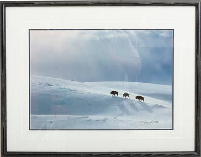 Thomas D. Mangelsen: Shadows On The Ridge Photograph Signed (lr) Numbered 92/950 * (Sight 13 1/4" h x 19 1/4" w Overall 21 1/4" x 27 1/4") Good