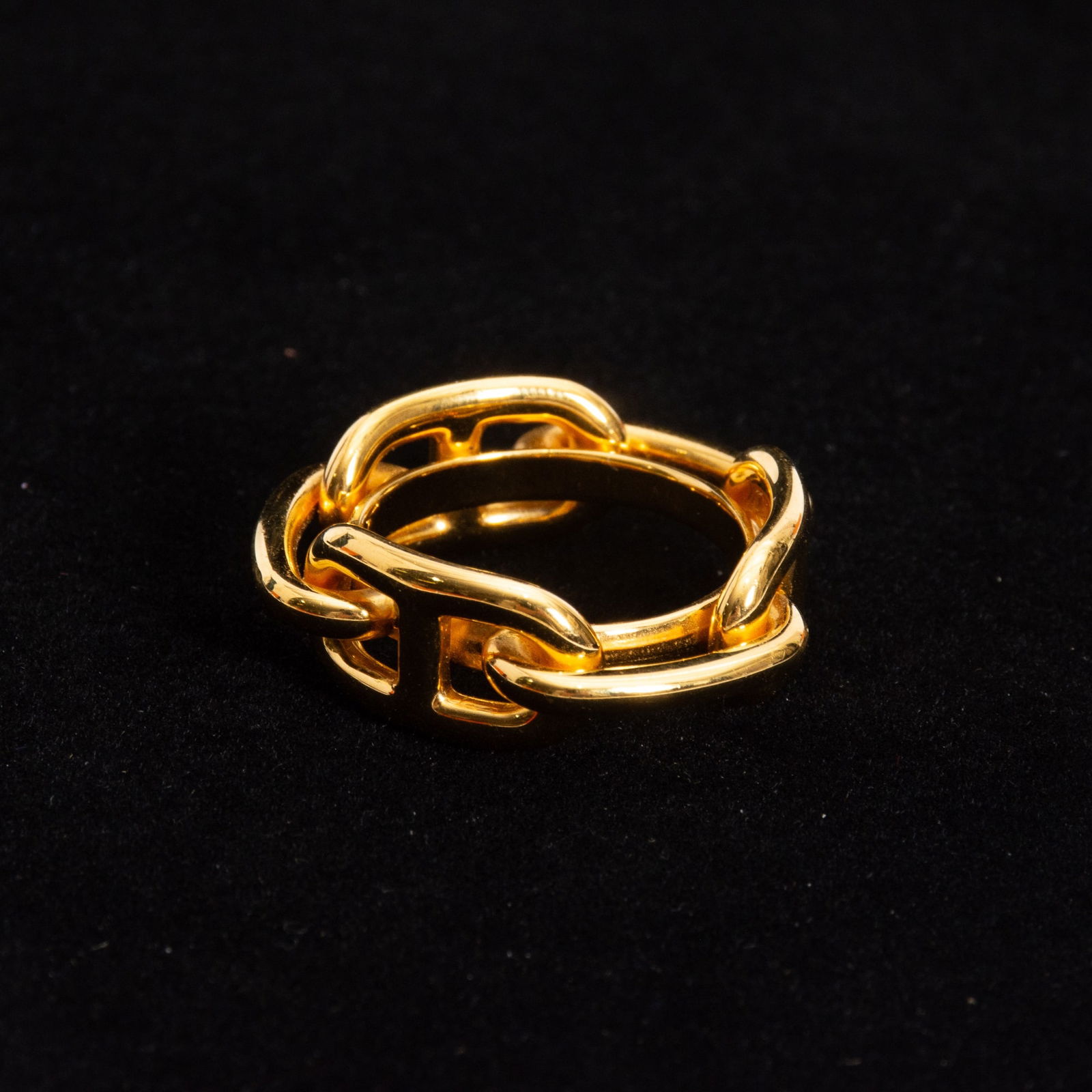 Hermes Gilt Metal Scarf Tie (1 of 6)