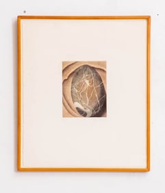 Theodore Vannay Jones