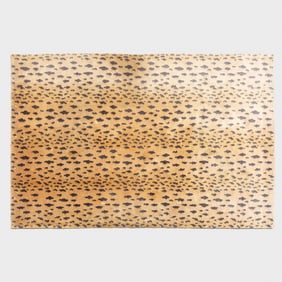 Cheetah Print Rug