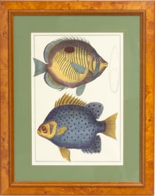 Print of Two Fishes