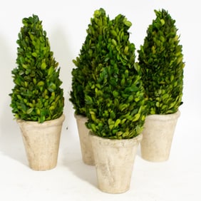 Group of Four Painted Pottery Topiaries