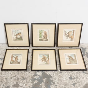 Group of Six Monkey Watercolor Engravings