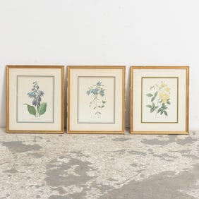 After Pierre-Joseph Redoute : Three