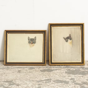 Kittens : Two