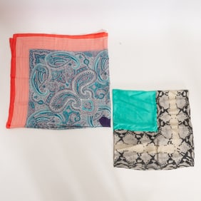 Two Echo Silk Scarves