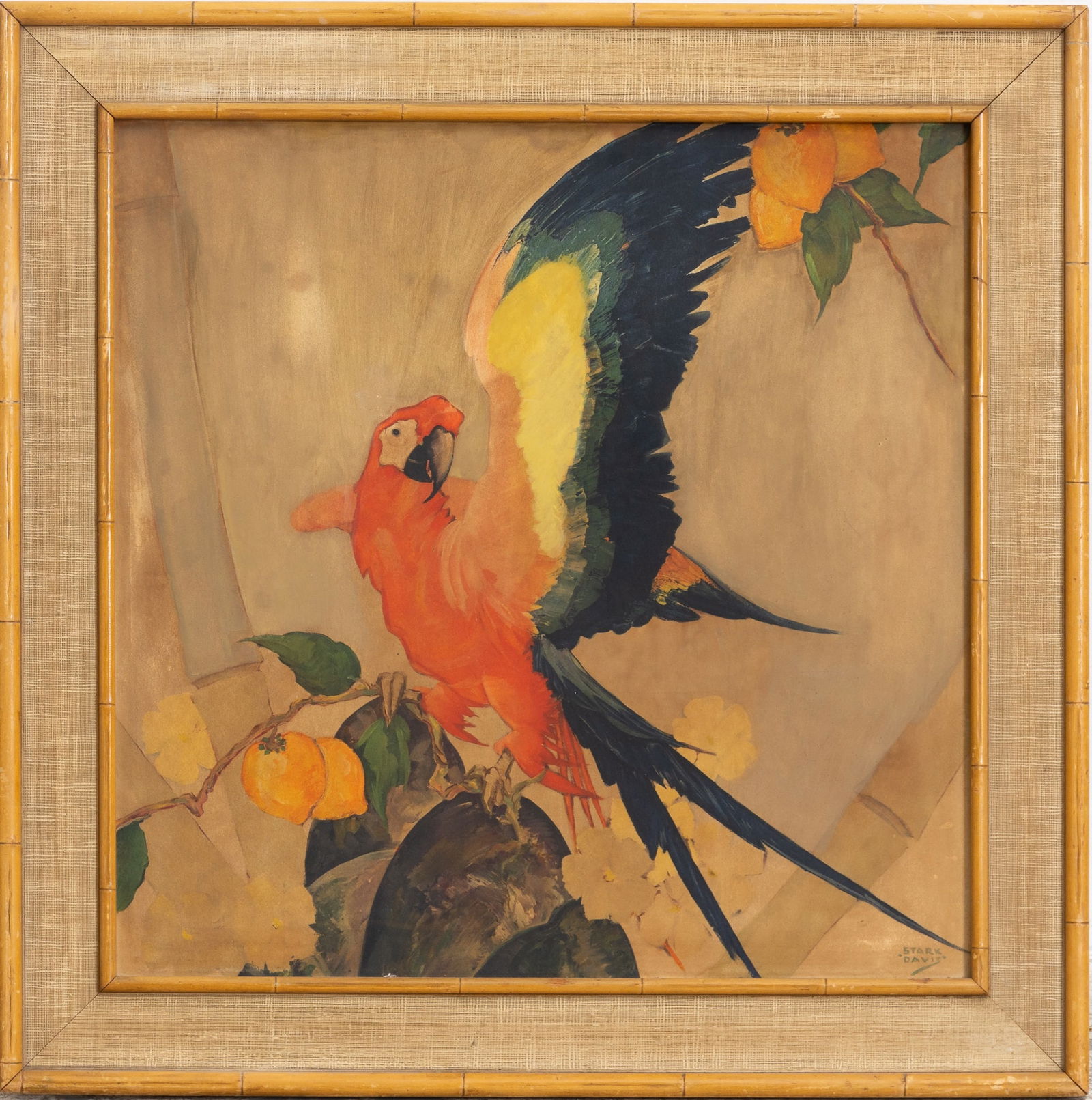 Winthrop Stark Davis: Blue Macaw Print on board (Sight 23 1/4" square Overall 30" square) no glass to frame, some foxing