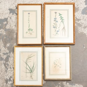 Four Botanical Studies